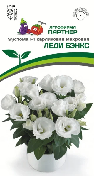 Партнер Эустома F1 карликовая махровая ЛЕДИ БЭНКС ^(5шт в амп), изображение 0