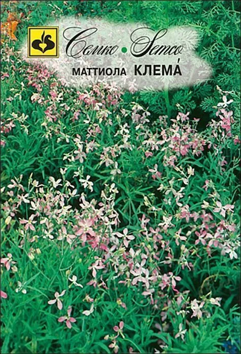 Семко Цветы Маттиола КЛЕМА ^(0,5г) фото, описание