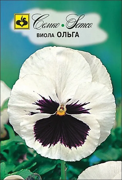 Семко Цветы Виола ОЛЬГА ^(0,1г) фото, описание