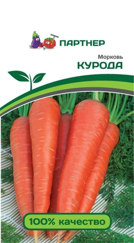 Партнер Морковь КУРОДА ^(1г) фото, описание