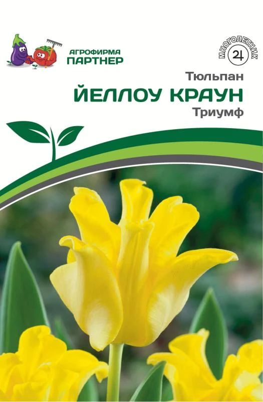 - Партнер Тюльпан триумф Йеллоу Краун ^(5шт/уп)