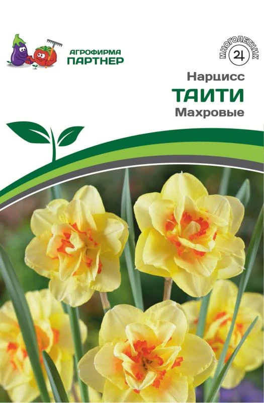 - Партнер Нарцисс махровый Таити ^(5шт/уп)