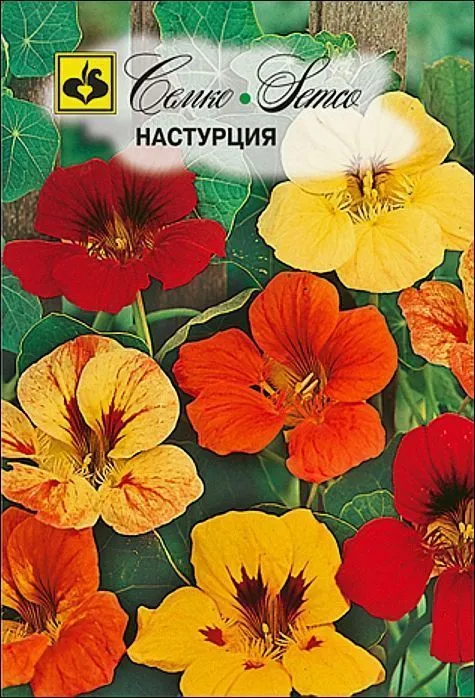 Семко Цветы Настурция вьющаяся ^(3г) фото, описание