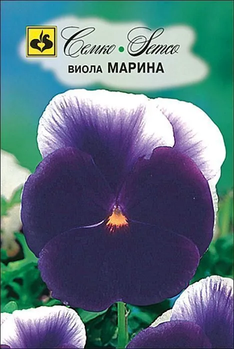 Семко Цветы Виола МАРИНА ^(0,1г) фото, описание