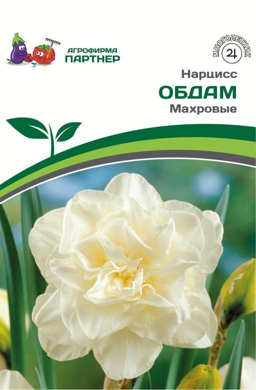 - Партнер Нарцисс махровый Обдам ^(5шт/уп)