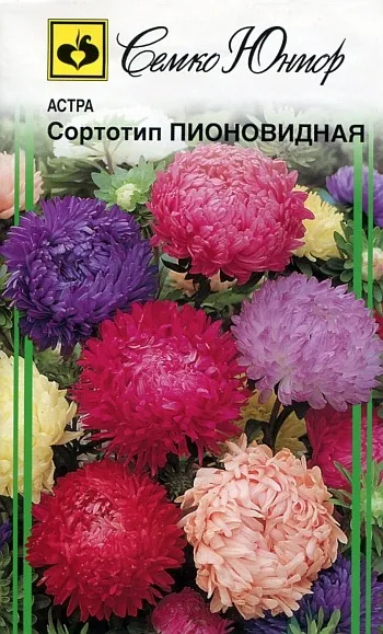 Семко Цветы Астра Сортотип Пионовидная (смесь) ^(0,5г) фото, описание