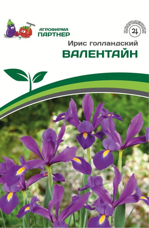 - Партнер Ирис голландский Ва-лентайн ^(10шт/уп)