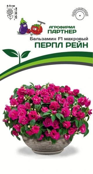 Партнер Бальзамин F1 махровый ПЕРПЛ РЕЙН ^(5шт в амп)