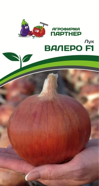 Партнер Лук репчатый ВАЛЕРО F1 ^(0,5г)