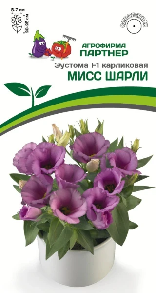 Партнер Эустома F1 карликовая МИСС ШАРЛИ ^(5шт в амп)