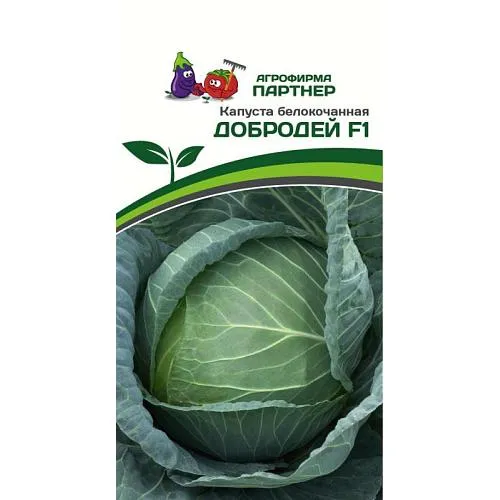 Семена капусты - оптом и в розницу - купить семена капусты в Москве винтернет-магазине Партнер