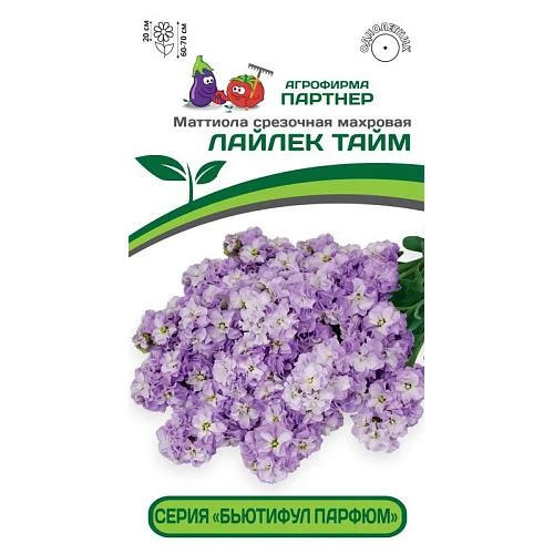 Партнер Маттиола срезочная махровая "Бьютифул Парфюм" ЛАЙЛЕК ТАЙМ^(10шт) 2-ной пак