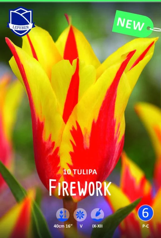 Тюльпан Файервок ^(10шт/уп), изображение 0