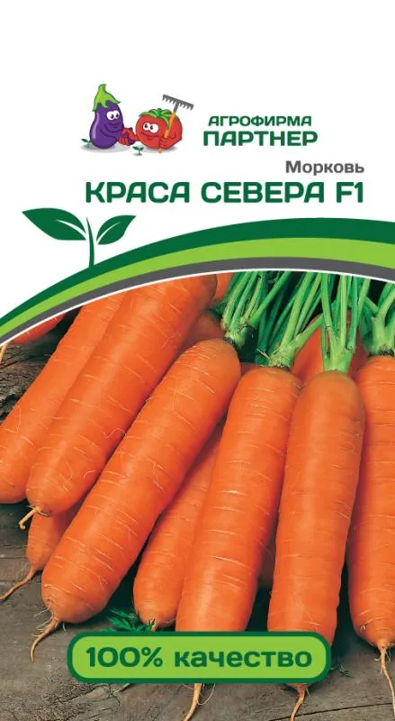Партнер Морковь КРАСА СЕВЕРА F1 ^(0,5г) фото, описание