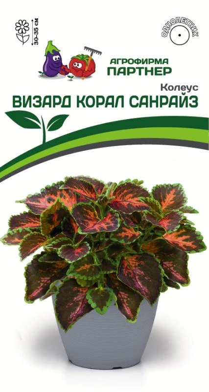 Партнер Колеус ВИЗАРД КОРАЛ САНРАЙЗ / шлемниковидный ^(10шт) 2-ной пак