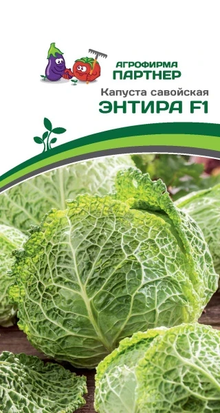 Партнер Капуста савойская ЭНТИРА F1 ^(0,05г в амп)