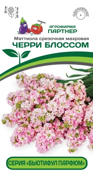 Партнер Маттиола срезочная махровая "Бьютифул Парфюм" ЧЕРРИ БЛОССОМ^(10шт) 2-ной пак