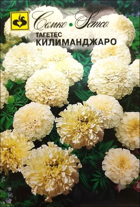Семко Цветы Тагетес КИЛИМАНДЖАРО ^(0,1г) фото, описание