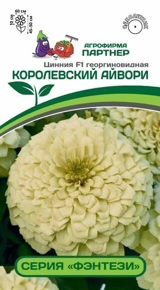 Партнер Цинния F1 КОРОЛЕВСКИЙ АЙВОРИ / георгиновидная ^(4шт) 