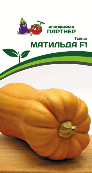 Партнер Тыква МАТИЛЬДА F1 ^(5шт)