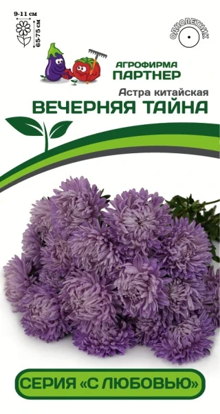 Партнер Астра китайская ВЕЧЕРНЯЯ ТАЙНА ^(5шт в амп)