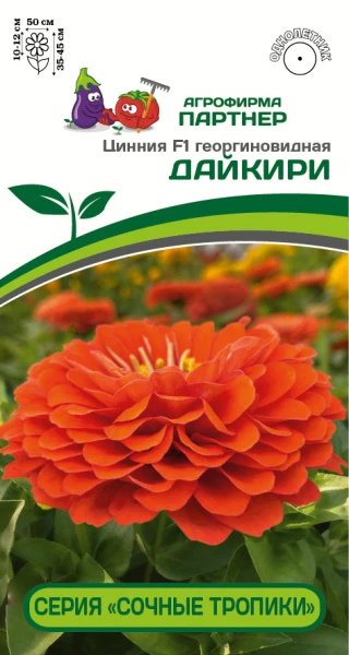 Партнер Цинния F1 ДАЙКИРИ / георгиновидная ^(4шт)