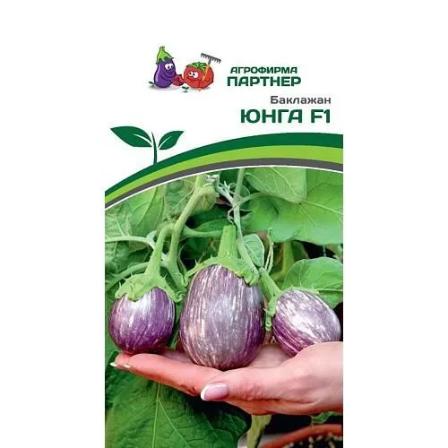 https://semena-partner.ru/catalog/zelen_i_pryano_aromaticheskie_kultury/item-semko-salat-listovoy-vishnevaya-dymka.html