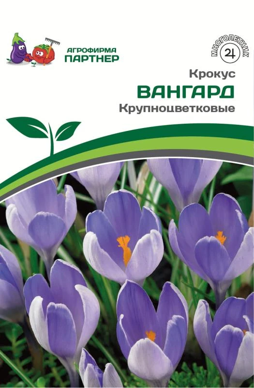 - Партнер Крокус крупноцветковый Вангард  ^(10шт/уп)