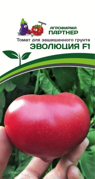 Партнер Томат ЭВОЛЮЦИЯ F1 ^(10шт) 2-ной пак, изображение 6