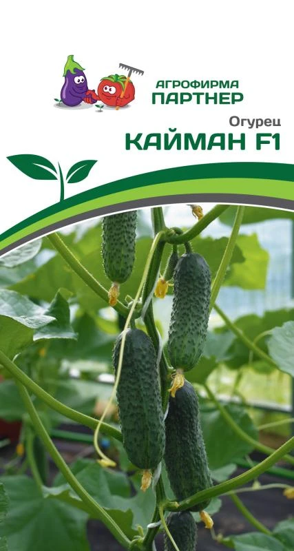 Партнер Огурец КАЙМАН F1 ^(10шт), изображение 0