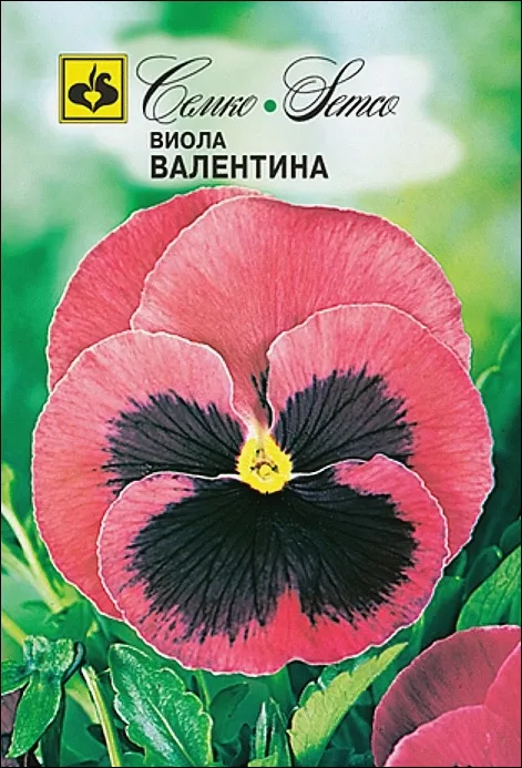 Семко Цветы Виола ВАЛЕНТИНА ^(0,1г) фото, описание