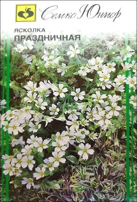 Семко Цветы Ясколка праздничная ^(0,1г) фото, описание