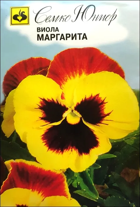 Семко Цветы Виола МАРГАРИТА ^(0,1г) фото, описание