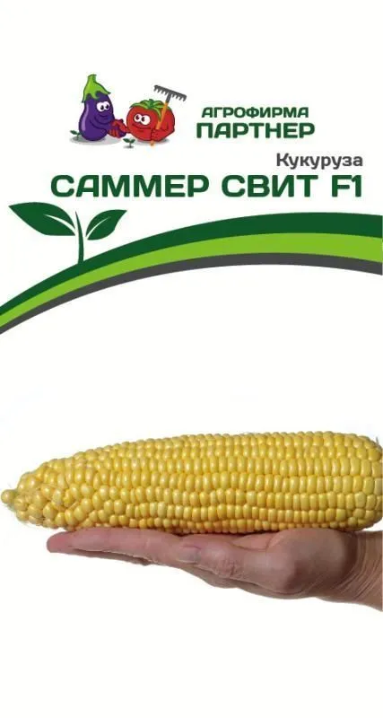 Партнер Кукуруза САММЕР СВИТ F1 ^(3г) фото, описание