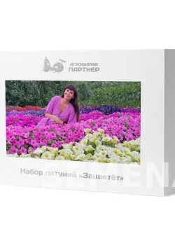 Набор петуний "Зацветёт" от Марины Патриной фото 2