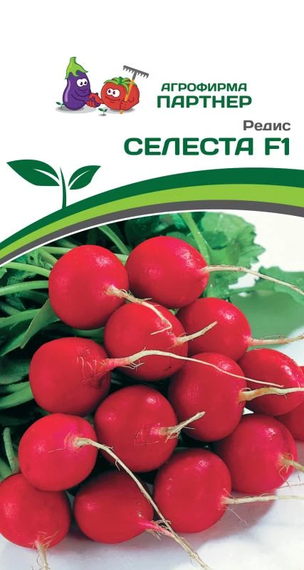 Партнер Редис СЕЛЕСТА F1 ^(1г)