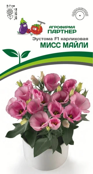 Партнер Эустома F1 карликовая МИСС МАЙЛИ ^(5шт в амп)