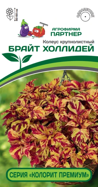 Партнер Колеус серия "КОЛОРИТ ПРЕМИУМ" БРАЙТ ХОЛЛИДЕЙ / шлемниковидный ^(5шт) 2-ной пак