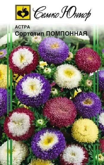 Семко Цветы Астра Сортотип Помпонная (смесь) ^(0,5г) фото, описание