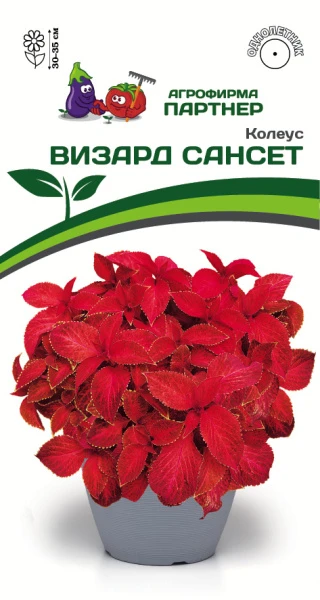 Партнер Колеус ВИЗАРД САНСЕТ / шлемниковидный ^(10шт) 2-ной пак