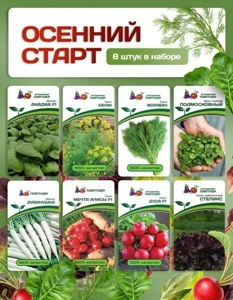 Партнер Набор ОСЕННИЙ СТАРТ^ (1шт)