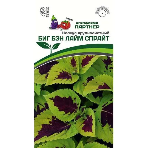 https://semena-partner.ru/catalog/zelen_i_pryano_aromaticheskie_kultury/item-partner-shchavel-krovavaya-meri.html