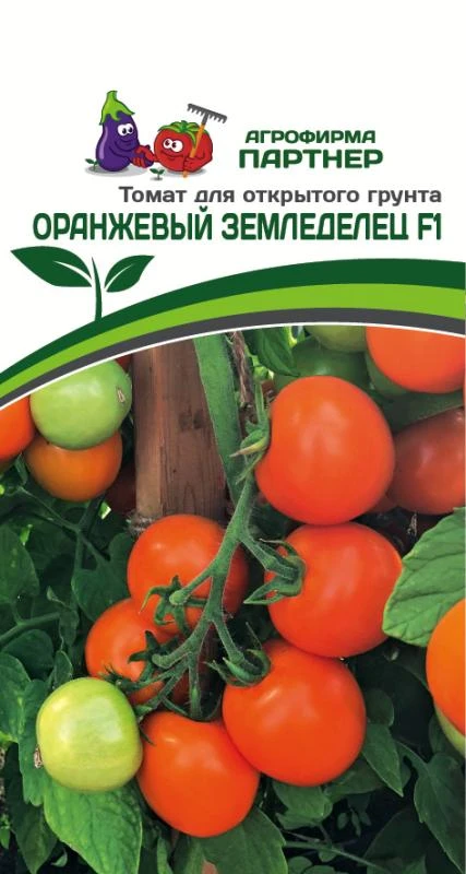 Купить семена Партнер Томат ЧЕРРИ ОРАНЖЕВЫЙ ЗЕМЛЕДЕЛЕЦ F1 ^(0,05г) 2-ной пак в Москве, доставка по России - интернет-магазин: цена оптом, в розницу