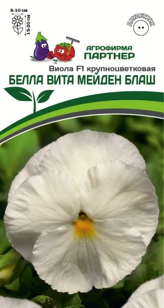 Партнер Виола F1 Виттрока серия "Белла Вита" МЕЙДЕН БЛАШ / крупноцветковая ^(5шт) 2-ной пак