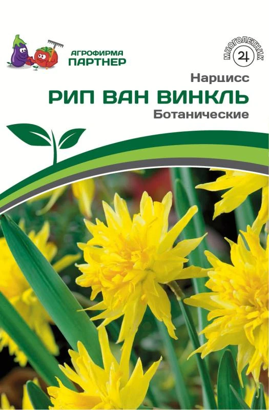 - Партнер Нарцисс ботанический Рип Ван Винкль ^(5шт/уп)