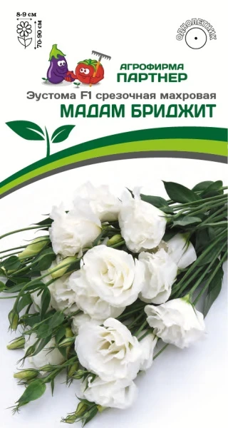 Партнер Эустома F1 срезочная махровая МАДАМ БРИДЖИТ ^(5шт в амп)