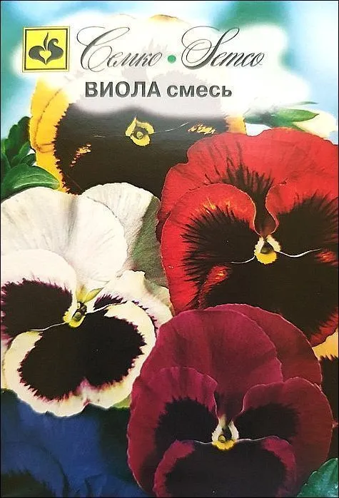 Семко Цветы Виола Швейцарский гигант смесь ^(0,1г) фото, описание