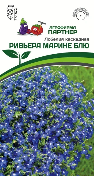 Партнер Лобелия каскадная РИВЬЕРА МАРИНЕ БЛЮ ^(10шт в амп)
