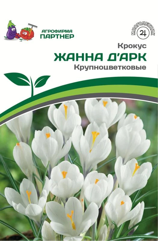 - Партнер Крокус крупноцветковый Жанна Д’Арк  ^(10шт/уп)