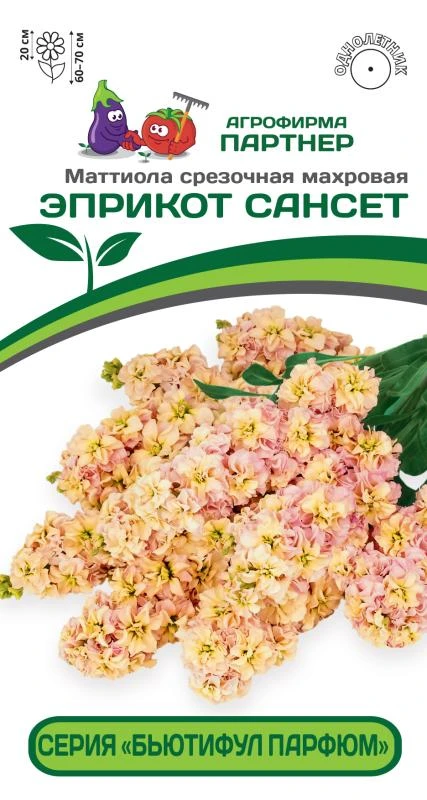 Партнер Маттиола срезочная махровая "Бьютифул Парфюм" ЭПРИКОТ САНСЕТ^(10шт) 2-ной пак